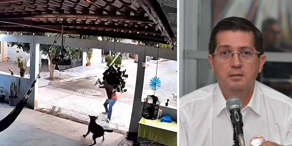 Ayuntamiento de Navojoa busca justicia ante caso de maltrato animal