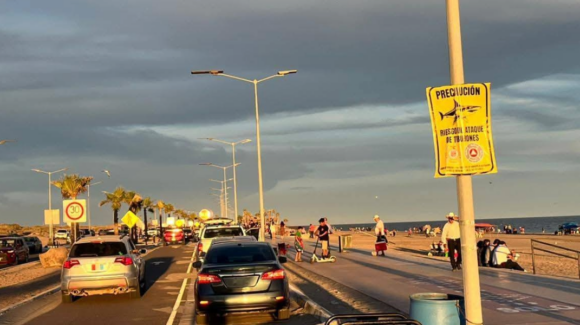 Colocan avisos sobre la presencia de un tiburón en la playa de Huatabampito