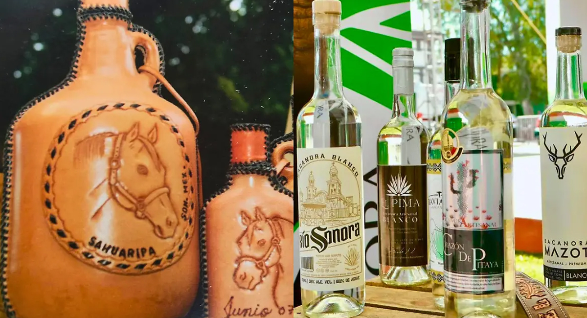 Impulsan certificación, exportación e innovación del bacanora en Sonora