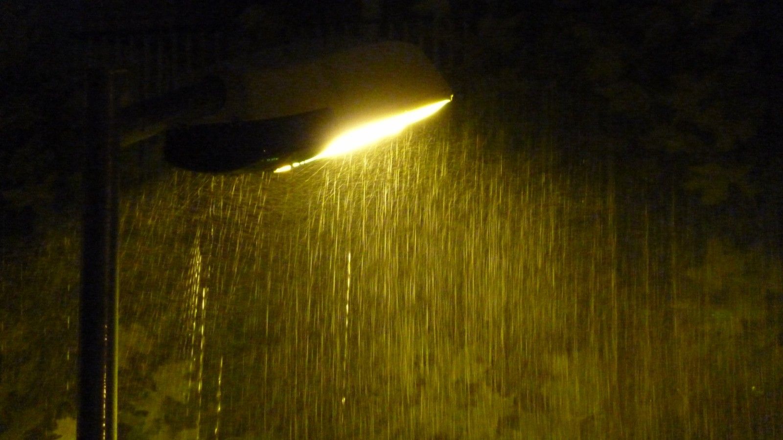 Para esta noche de domingo 5 de abril se pronostican lluvias intensas