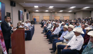 Primer Congreso Ganadero de Ciudad Obregón 2026 buscará fortalecer la ganadería en el sur de Sonora