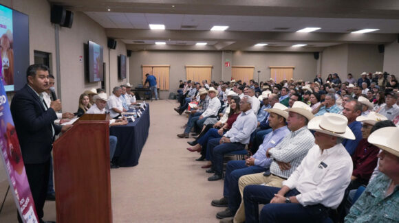 Primer Congreso Ganadero de Ciudad Obregón 2026 buscará fortalecer la ganadería en el sur de Sonora