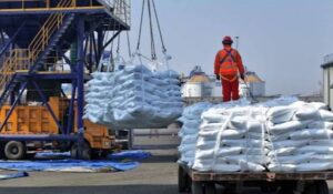 China intensifica inspecciones aduanales en fertilizantes por irregularidades