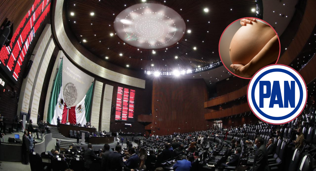 Diputados del PAN proponen ampliar un año la licencia de maternidad con goce de sueldo