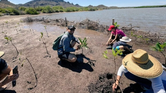 Estero El Soldado destaca como ejemplo de protección ambiental en Sonora