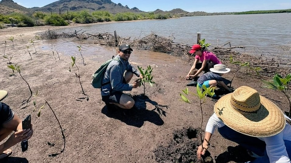 Estero El Soldado destaca como ejemplo de protección ambiental en Sonora