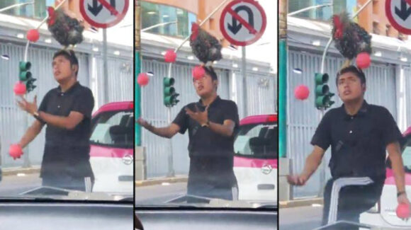 México mágico: Joven se vuelve viral por VIDEO donde hace malabares con gallo en la cabeza