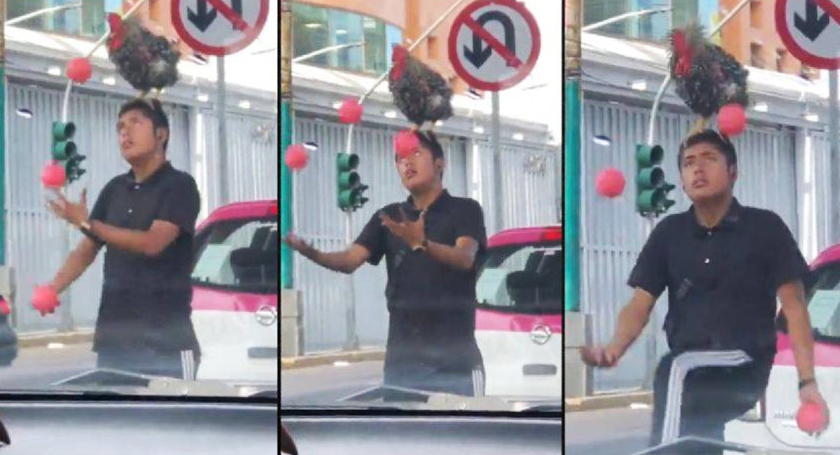 México mágico: Joven se vuelve viral por VIDEO donde hace malabares con gallo en la cabeza