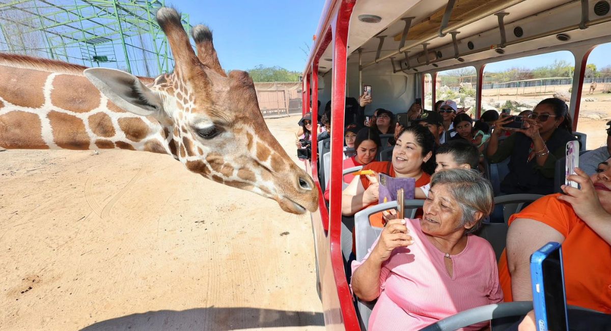 Gobierno de Sonora: Se registra alta afluencia en el Centro Ecológico durante Semana Santa