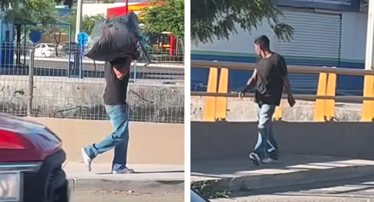 El momento quedó grabado en video por automovilista