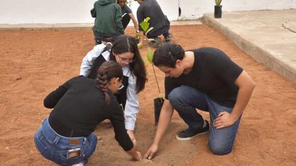 Ciudad Obregón se suma al programa federal para jóvenes en situación de vulnerabilidad