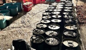 Policía peruana desmantela laboratorio clandestino de drogas en ciudad de Callao