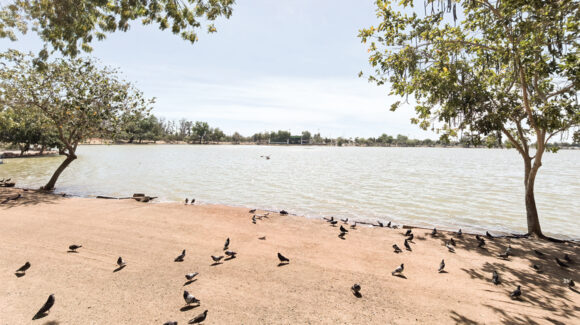Laguna del Náinari de Obregón, una excelente opción para disfrutar en Semana Santa sin salir de la ciudad