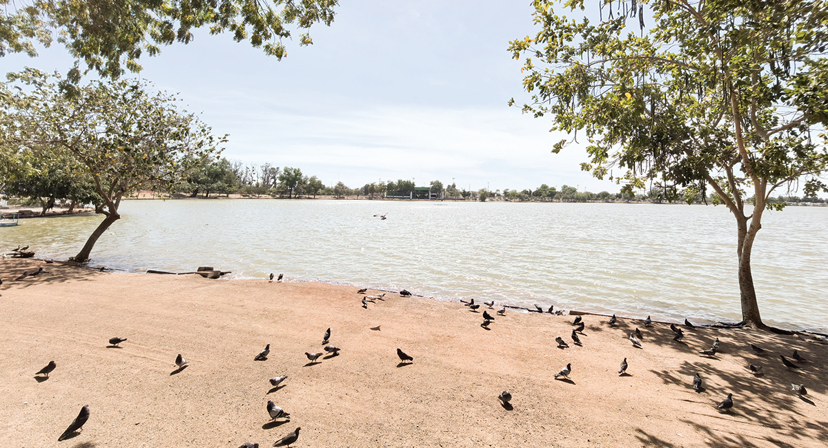 Laguna del Náinari de Obregón, una excelente opción para disfrutar en Semana Santa sin salir de la ciudad
