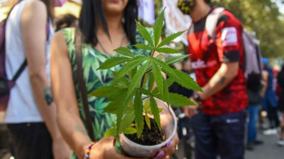 Día Mundial de la Marihuana: ¿De dónde surgió esta celebración y por qué se conmemora?
