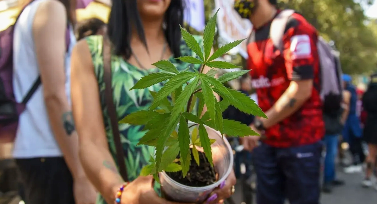 Varias ciudades del mundo conmemoran el Día de la Marihuana