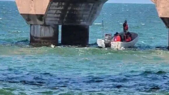 Manchas de petróleo en las costas de Yucatán alarman a habitantes
