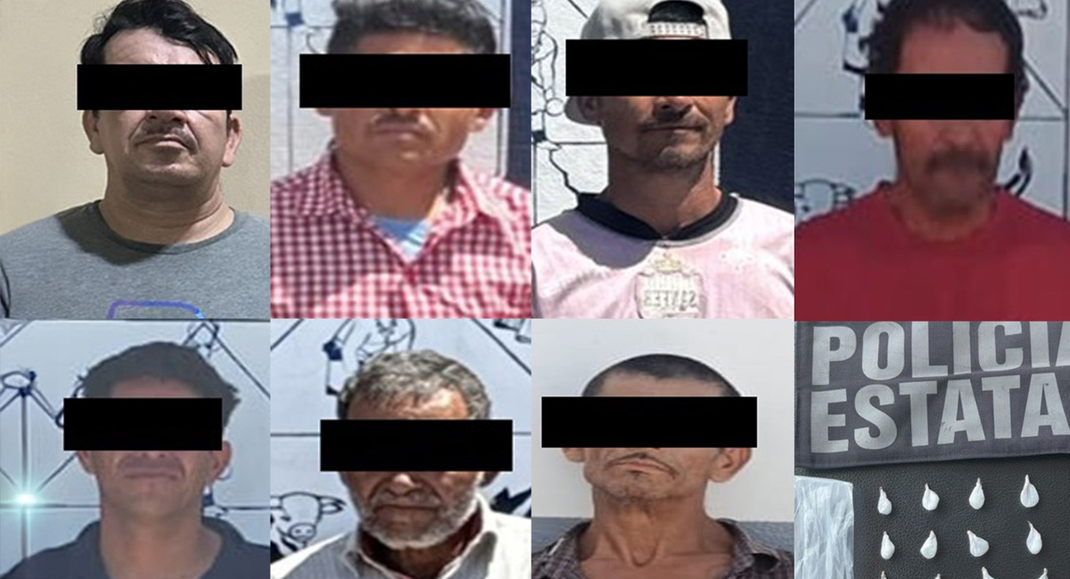 Los siete individuos detenidos por autoridades en Ciudad Obregón