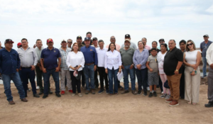 Sagarhpa busca proteger la producción pesquera en el sur de Sonora