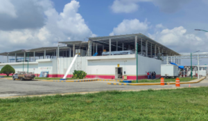 Planta de moscas estériles contra el gusano barrenador registra 75% de avance: Senasica