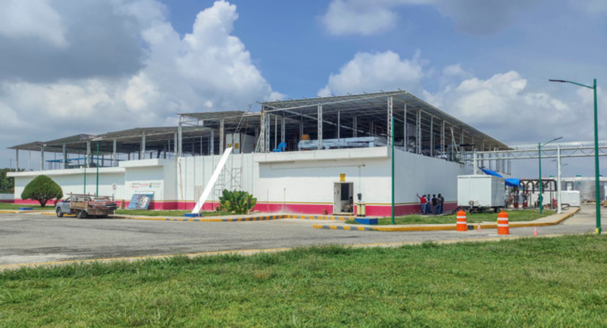 Planta de moscas estériles contra el gusano barrenador registra 75% de avance: Senasica