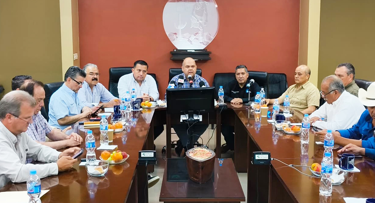 Productores de trigo del sur de Sonora alertan crisis por bajos rendimientos y falta de apoyos