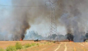 Ciudad Obregón refuerza vigilancia y sanciones para evitar quema de gavilla en trillas