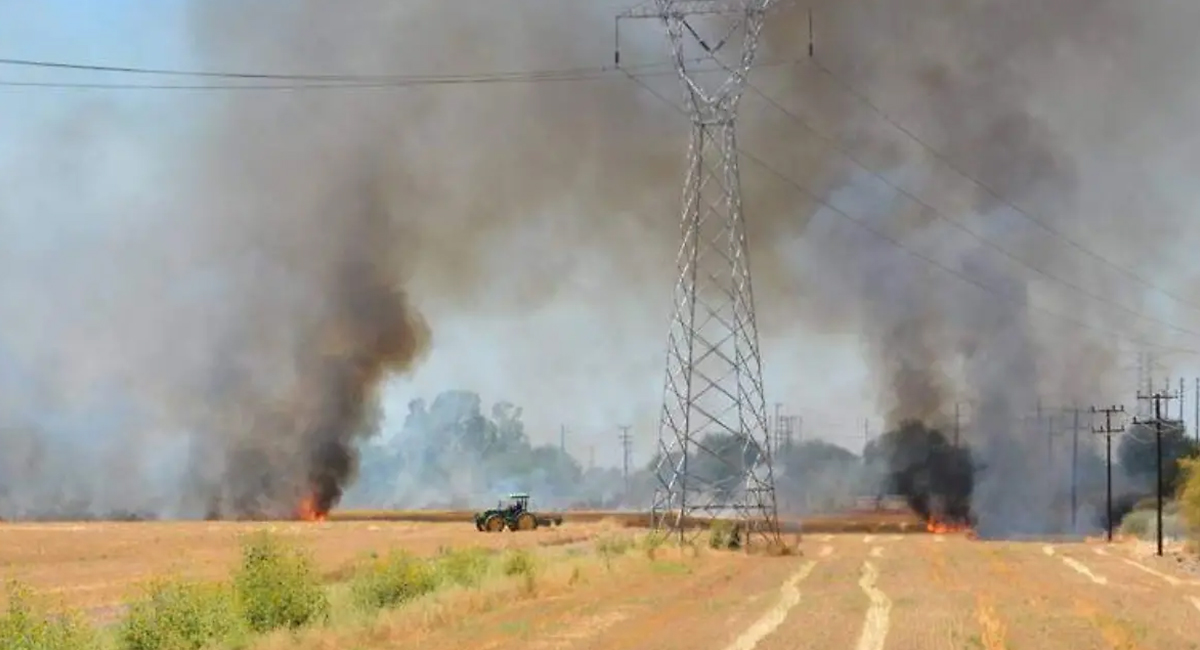 Ciudad Obregón refuerza vigilancia y sanciones para evitar quema de gavilla en trillas