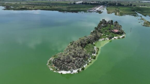 SCJN avala decreto: El Lago de Texcoco se consolida como área natural protegida