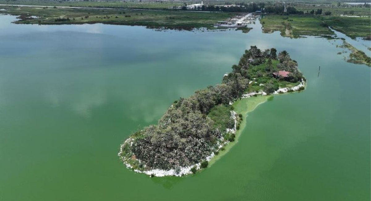 SCJN avala decreto: El Lago de Texcoco se consolida como área natural protegida