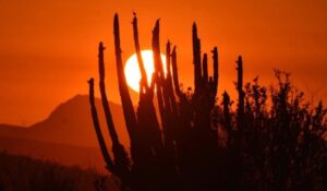 Sonora tendrá CALOR intenso y rachas de viento este martes 28 de abril: Clima HOY