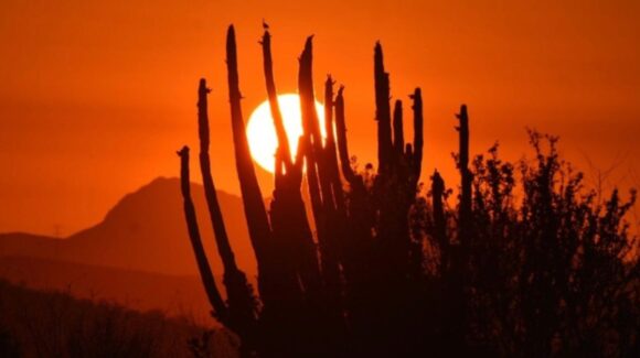 Sonora tendrá CALOR intenso y rachas de viento este martes 28 de abril: Clima HOY