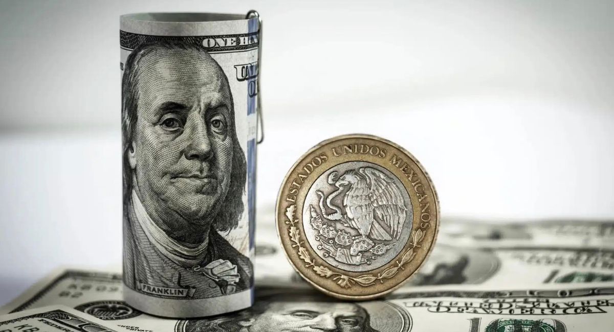 Conoce todo sobre el precio del dólar en México