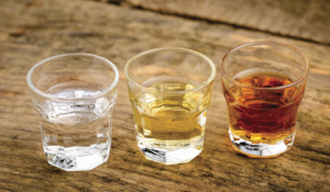 Mezcal, tequila y bacanora: Conoce las diferencias en origen y sabor de las bebidas mexicanas