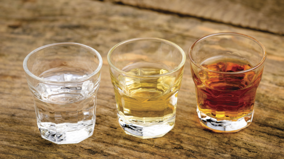Mezcal, tequila y bacanora: Conoce las diferencias en origen y sabor de las bebidas mexicanas