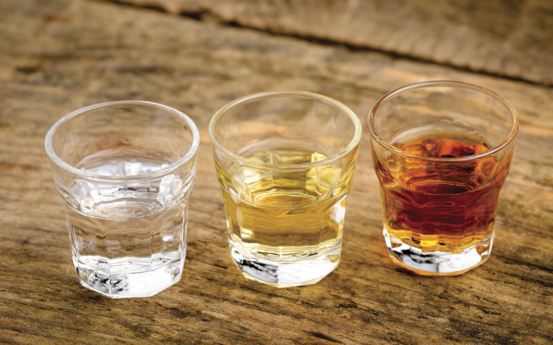 Mezcal, tequila y bacanora: Conoce las diferencias en origen y sabor de las bebidas mexicanas.