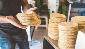 Precio de la tortilla se mantiene estable pese a aumento en el costo de la harina en Cajeme