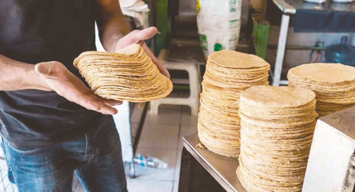 Precio de la tortilla se mantiene estable pese a aumento en el costo de la harina