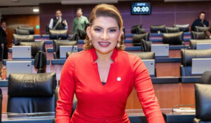 Destaca senadora Lorenia Valles resultados de cierre de periodo en el Senado de República