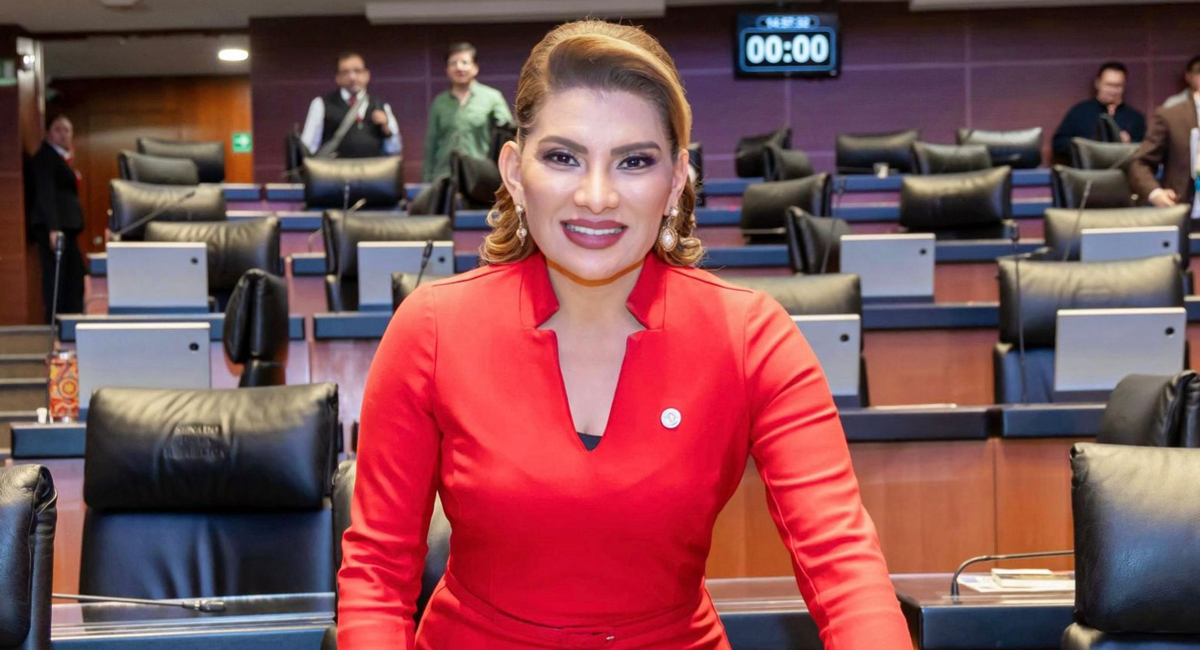 La senadora de Morena, Lorenia Valles