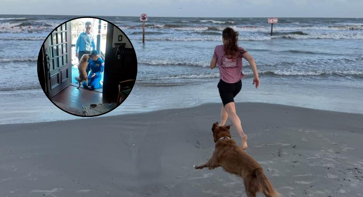 VIDEO: Se viraliza el reencuentro de la astronauta de Artemis II Christina Koch con su perrita