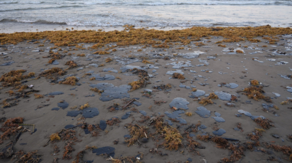 Veracruz sigue en alerta: Continúa la llegada de hidrocarburo; reportan afectaciones en 81 playas