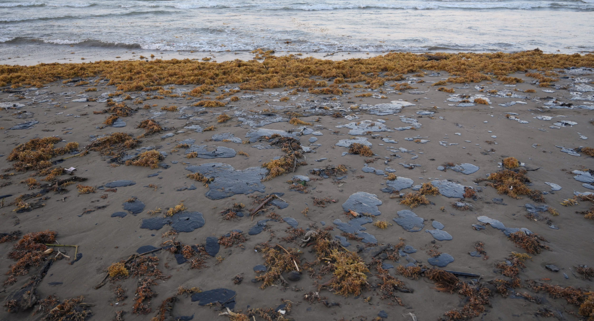 Veracruz sigue en alerta: Continúa la llegada de hidrocarburo; reportan afectaciones en 81 playas