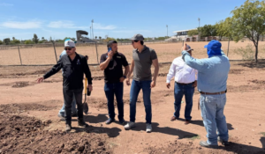 Plantarán 350 árboles en Navojoa para crear el primer bosque urbano del sur de Sonora