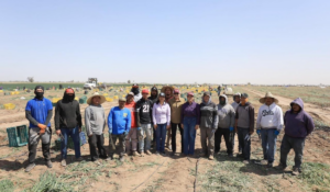 Durazo y Celida López reafirman apoyo al campo en San Luis Río Colorado