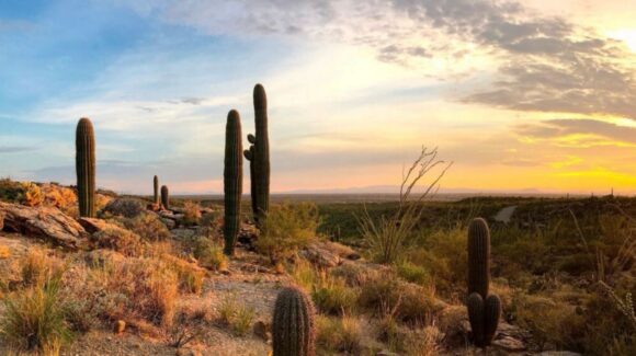 ¿Cómo estará el clima en Hermosillo HOY? Prevén calor y cielo nublado