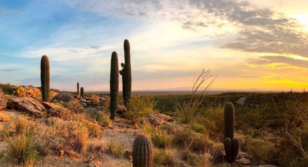 Así será el clima en Hermosillo HOY 13 de abril