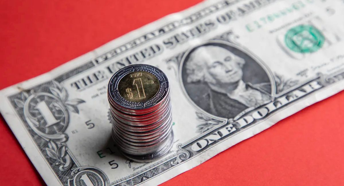 Conoce todos los detalles sobre el precio del dólar