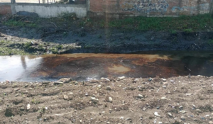 Pemex arranca operativo de limpieza debido a nuevo derrame por las lluvias, ahora en Poza Rica