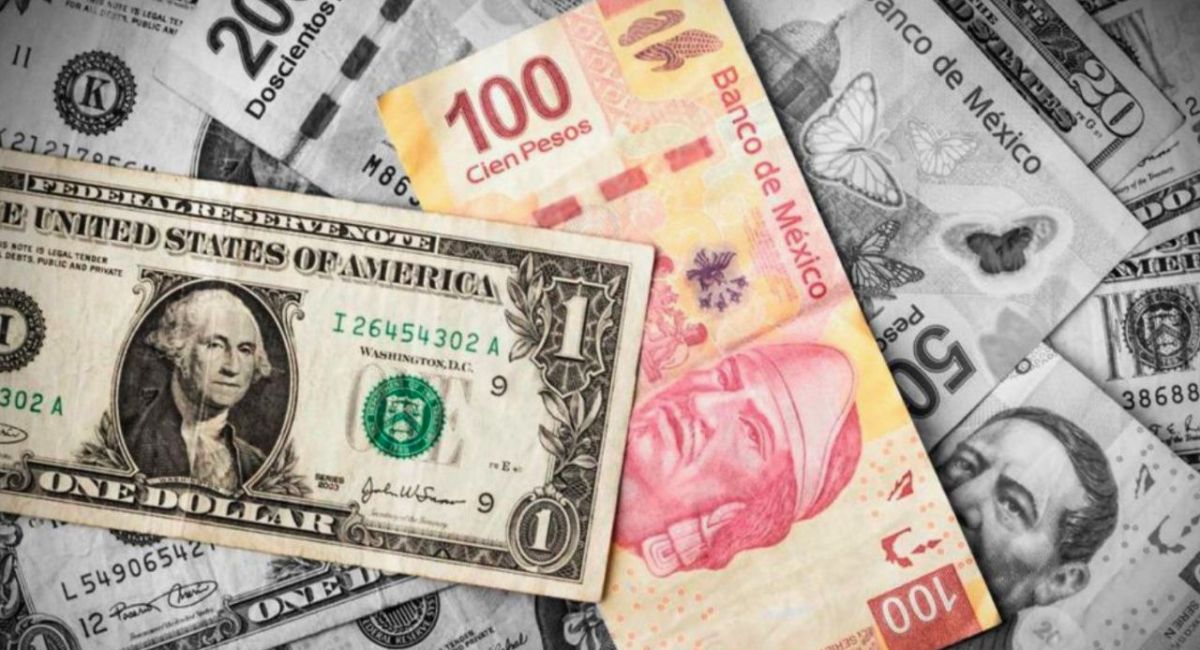 Conoce toda la información sobre el tipo de cambio en México